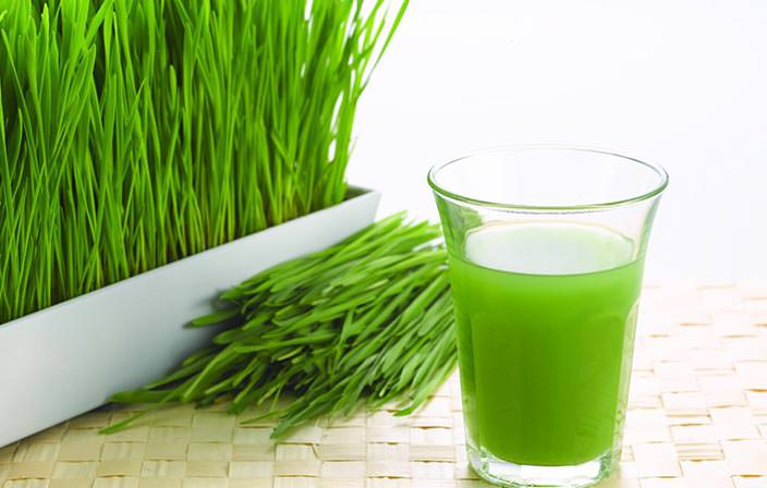 Wheat Grass Juice - A Miracle Medicine | Nimba Naturopathy Centre