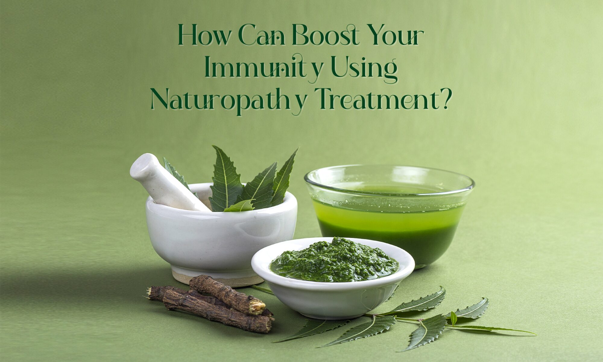 How Can You Boost Your Immunity Using Naturopathy Treatment