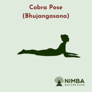 Cobra Pose (Bhujangasana)