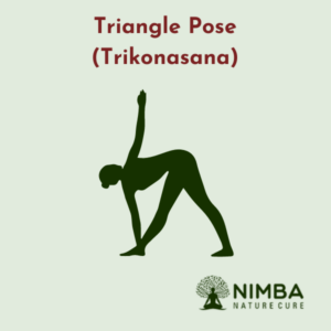Triangle Pose (Trikonasana)