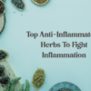 Top Anti-Inflammatory Herbs To Fight Inflammation