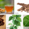 Ayurveda For Ulcerative Colitis- Effective Natural Remedies To Treat This Inflammatory Disease