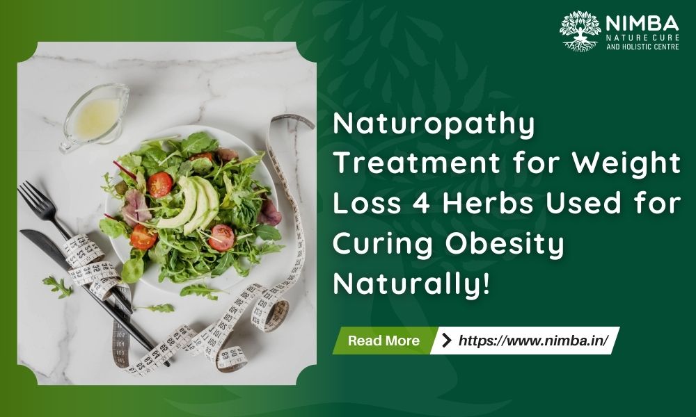 Naturopathy Treatment for Weight Loss 4 Herbs Used for Curing Obesity Naturally!